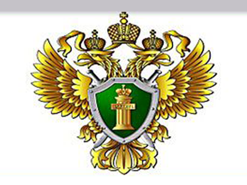 Администрация Петродворцового района Санкт-Петербурга